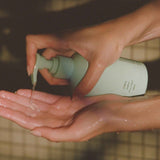 Shampoo - Cypress