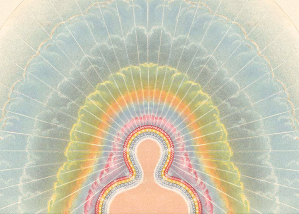 A guide to holistic health & nutrition: forming healthy rituals