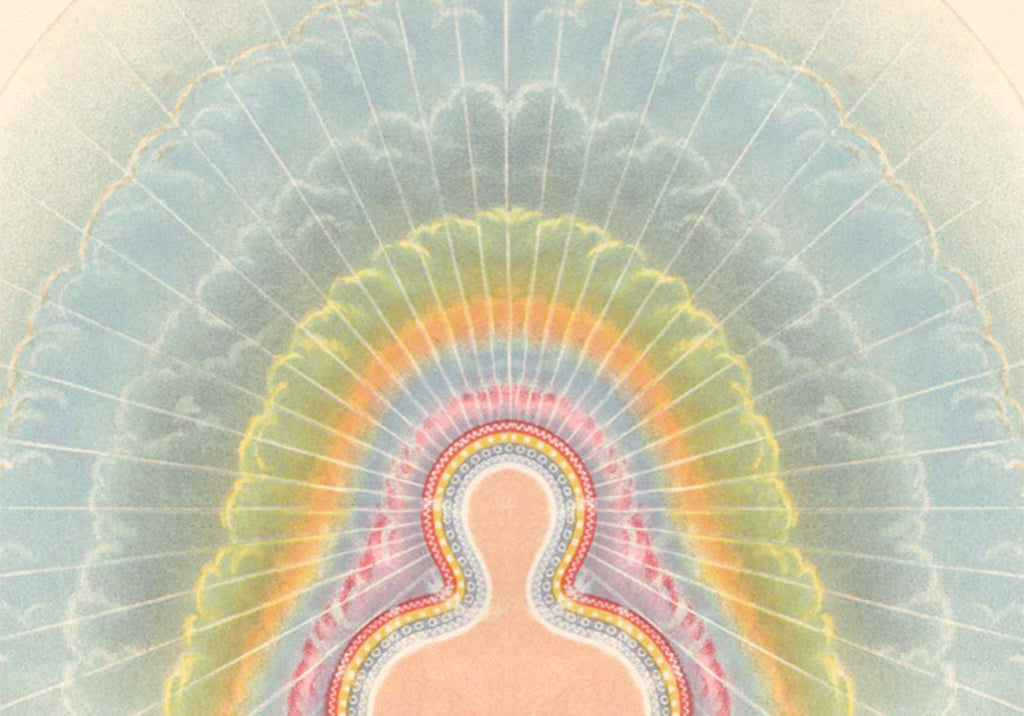 A guide to holistic health & nutrition: forming healthy rituals