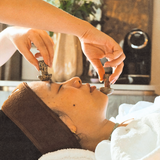 Herbar Residency: The 360° Facial