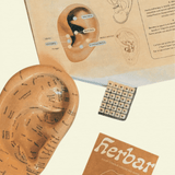 [NOV 2] A Morning of Elements & Sound Featuring Herbar