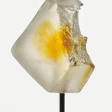 Focus Mushroom Gummy Delights