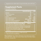 Focus Mushroom Gummy Delights