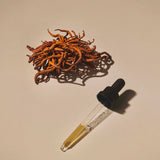 Cordyceps Mushroom Extract