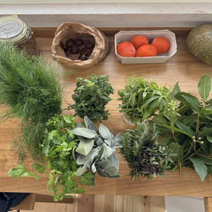 The Nourished Self - Abundance (4 Session Bundle)