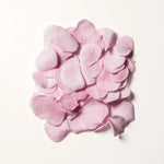 Pink cherry blossom petals, a key ingredient in DAMDAM Ginkgo Bouncy Water Cream