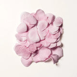 Pink cherry blossom petals, a key ingredient in DAMDAM Ginkgo Bouncy Water Cream