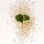 Ginkgo leaf on fermented rice grains, key ingredients in DAMDAM Ginkgo Bouncy Water Cream