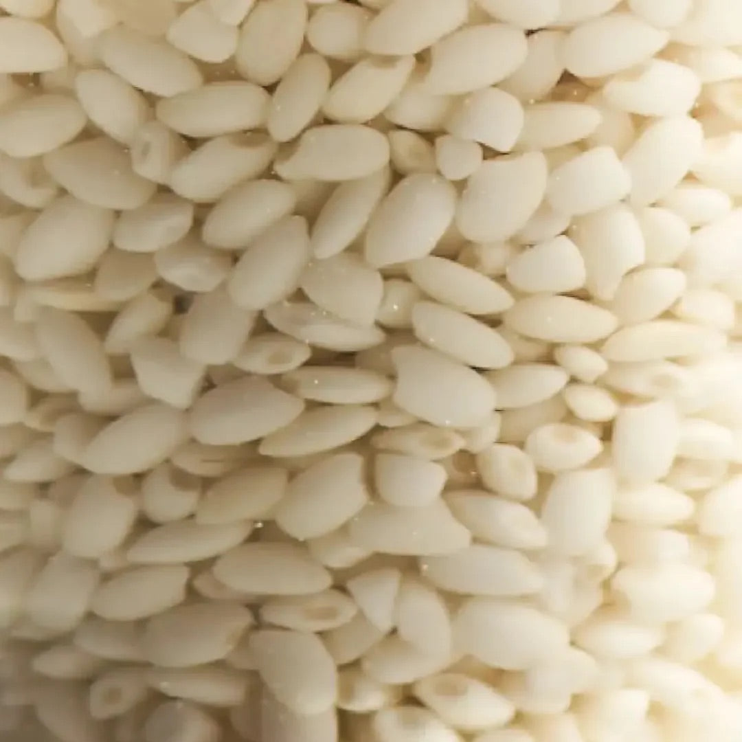 Rice grains representing the dual rice ferments in DAMDAM Ume Plum Firming Serum