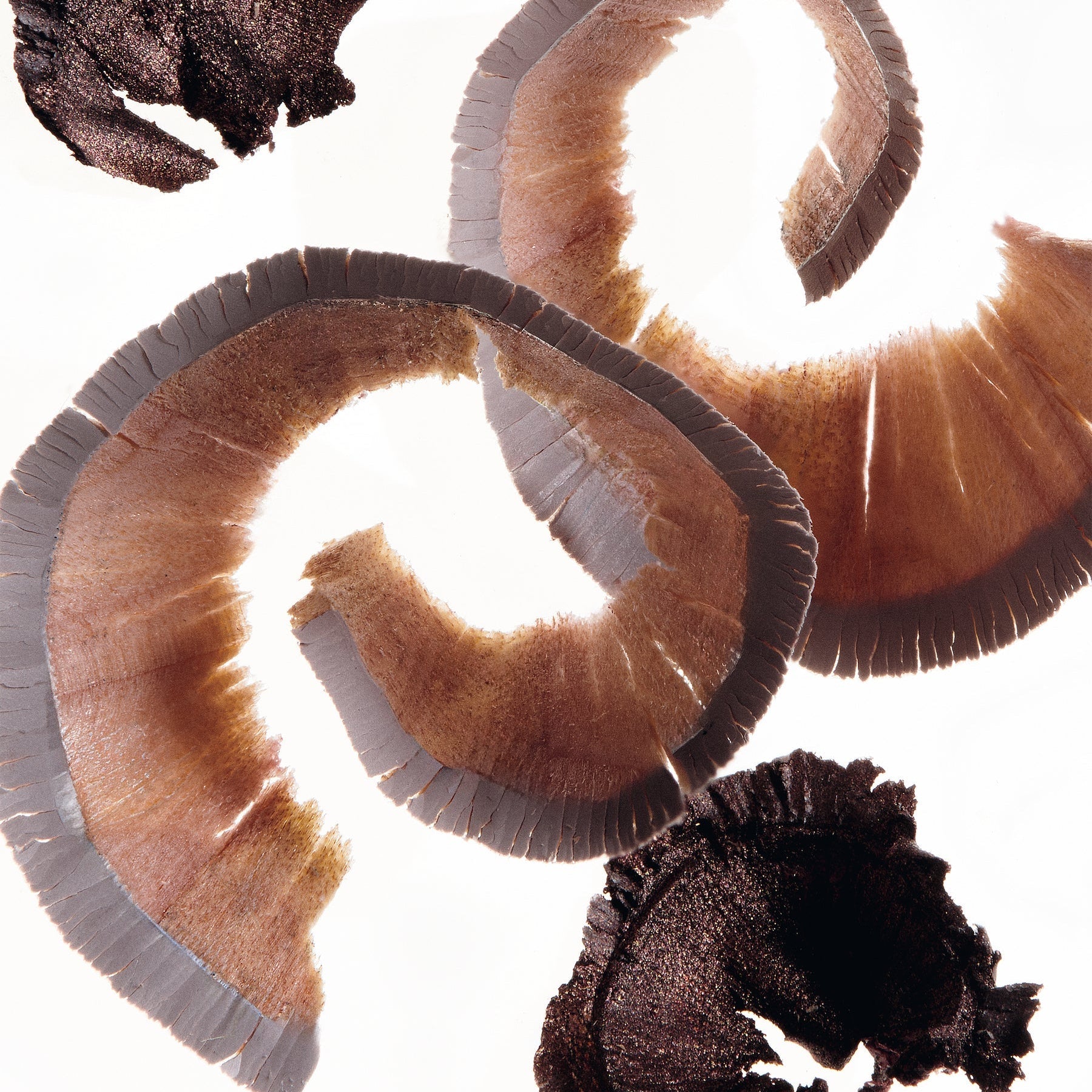 Wooden shavings from a sharpened Manasi 7 Eye and Lip Definer pencil, made from biodegradable wood