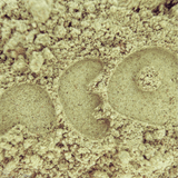 [Feb 19] An Evening with neoNutritions