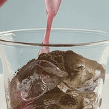 [Feb 19] An Evening with neoNutritions