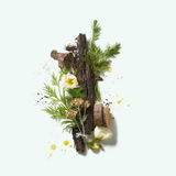 Deodorant Cedar Flora